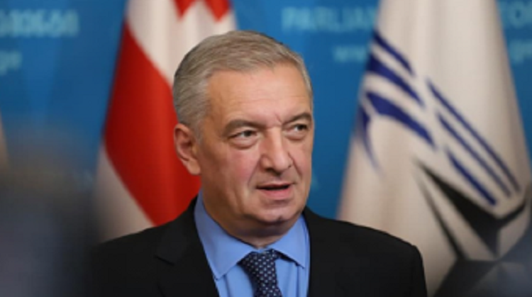 გია ვოლსკი "ნაციონალური მოძრაობის" და კახა ოქრიაშვილის პარტიის გაერთიანებას აფასებს