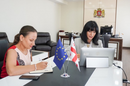 სახელმწიფო მინისტრმა ევროკავშირის სპეციალურ წარმომადგენელთან დისტანციური შეხვედრა გამართა