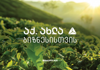 „მეგრული ჩაი" თიბისის მხარდაჭერით წარმოებას აფართოებს