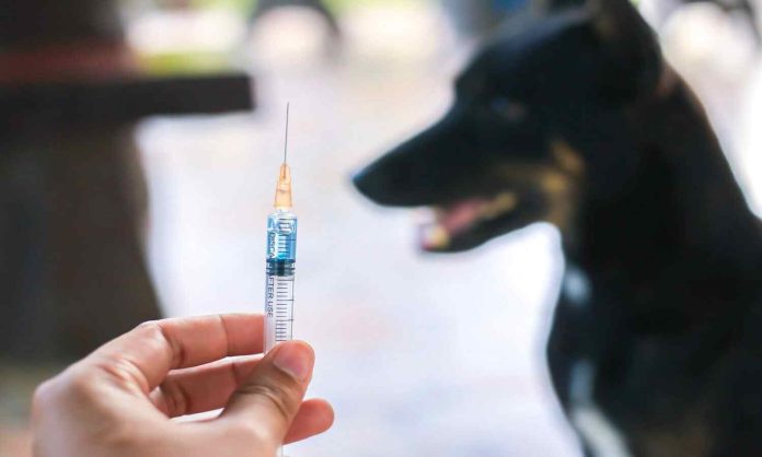 1500x900_822213-rabies-dog-vaccines