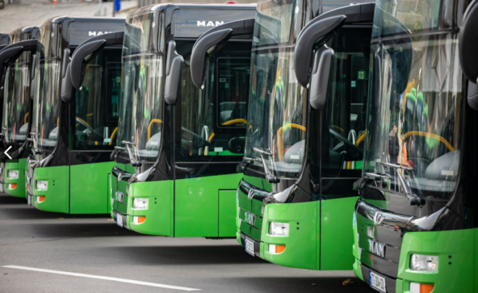 ავტობუსები