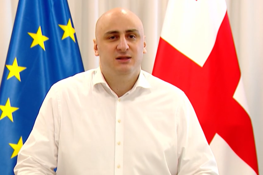ნიკა მელია
